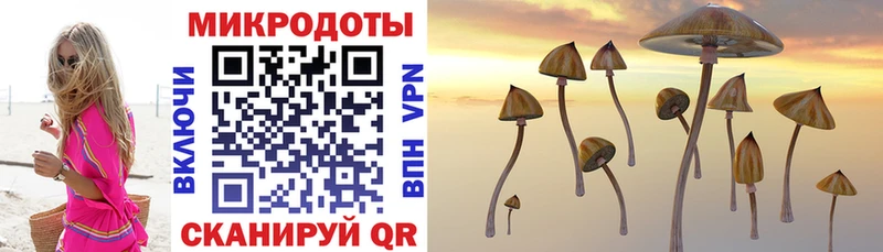 Псилоцибиновые грибы мухоморы  сколько стоит  Вольск 